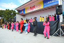 忍者ダンスショー