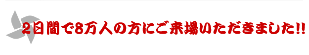 2013年の内容は以下になります。